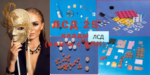 прущие грибы Алзамай