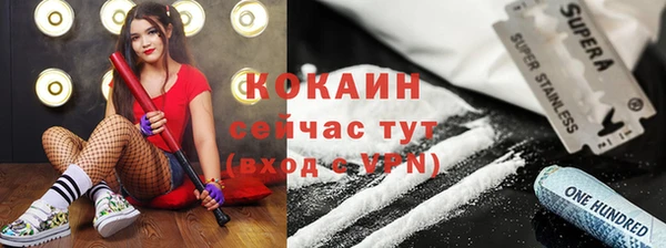 прущие грибы Алзамай