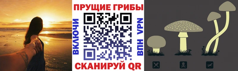 Псилоцибиновые грибы мухоморы Агидель